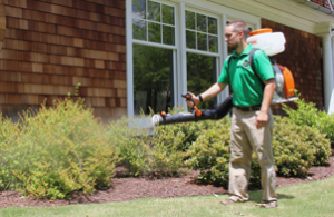 Mosquito Joe of the National Capital Region technician spraying bushes out of a home. 